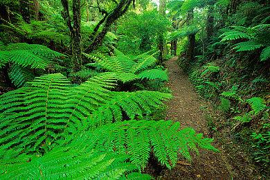 3DM速报：《异度神剑3》正式公布9月发售 未来动视暴雪游戏不独占