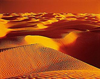 《指环王：夏尔传说》公布 秋季登陆各大平台