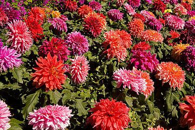 蓝洞新作《雷霆一号》今日在steam正式发售 支持中文